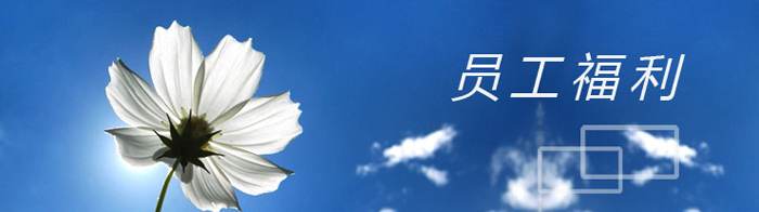 網(wǎng)站關鍵詞 網(wǎng)站關鍵詞